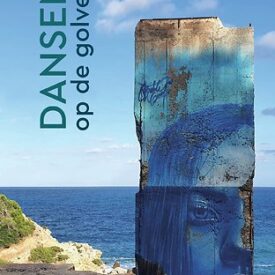 Boek Dansen op de golven - Maaike Hoogenboom