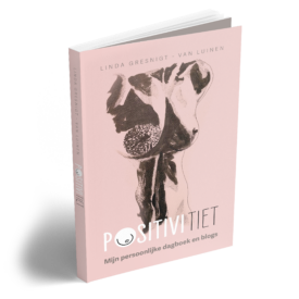 Boek positivitiet Linda Gresnigt omslag
