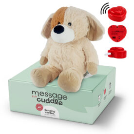 Message in a cuddle: Hond De trouwe metgezel